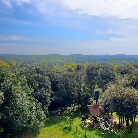 Margola Apartman Vrsar