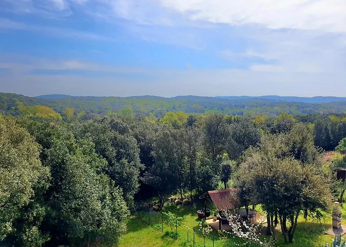 Margola 아파트 브르사르