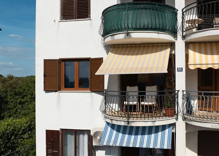 Margola 브르사르